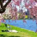 spring is the best time for drain cleaning!