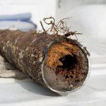 Hollow log with rusted metal edges and decay, illustrating natural deterioration for B&L Plumbing's home maintenance tips.