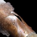 preventing frozen and burst pipes